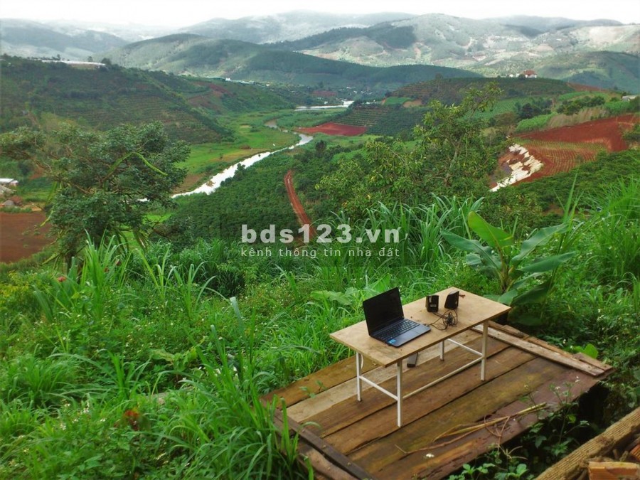 500m2 Đường Lý Thái Tổ , Dambri,Tp.bảo Lộc, Giá Bán 900tr