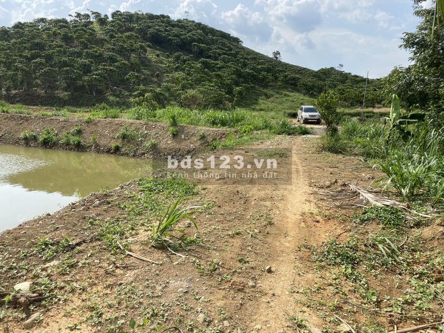 Bán lô đất thôn 11 Xã Đại Lào thành phố Bảo Lộc