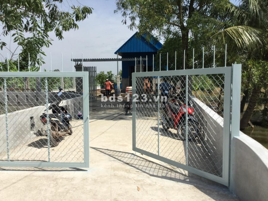 Đất thích hợp làm nhà vườn hoặc quán cafe, giá cho thuê 12 triệu/tháng, thuê dài hạn