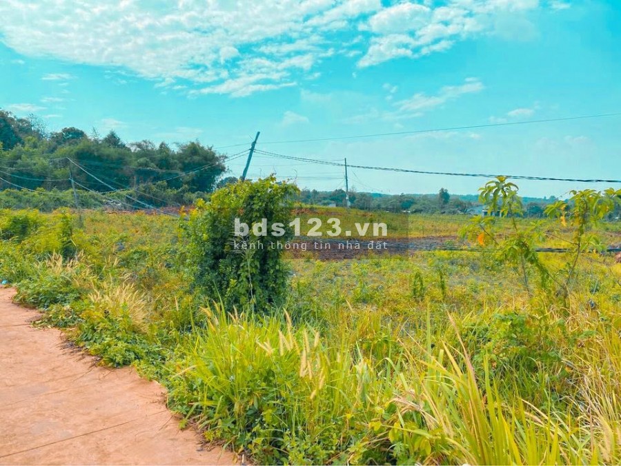 Mua Bán Đất Thị Xã Bình Long Vị Trí Đẹp Giá Chỉ 360Tr