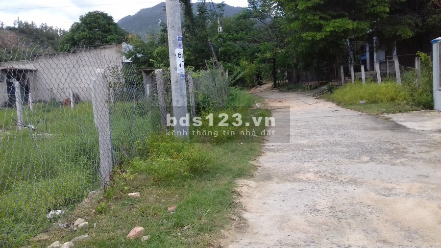 Bán đất tổ dân phố Sơn Long, Ba Ngòi, Cam Ranh Khánh Hòa 2ha