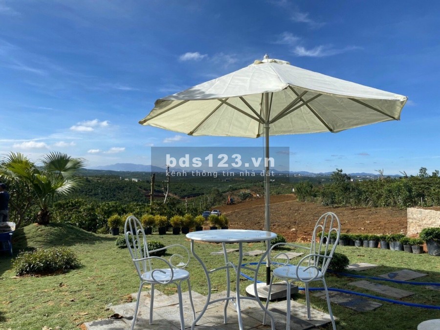 500m2 Đường Lý Thái Tổ , Dambri,Tp.bảo Lộc, Giá Bán 900tr