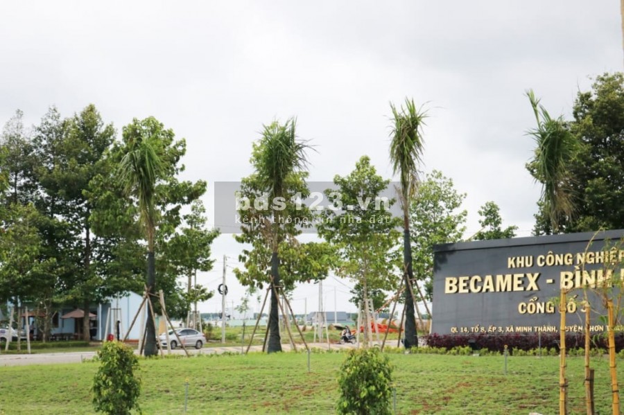 VỀ QUÊ ĐỊNH CƯ BÁC TÔI BÁN GẤP LẠI 2000M2 ĐẤT NGAY CHỢ ĐANG HOẠT ĐỘNG, SHR GIÁ 470TR