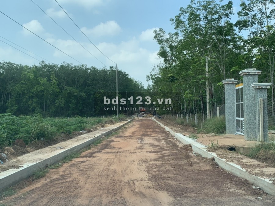 MẶT TIỀN ĐƯỜNG TRẢI SỎI ĐANG ĐỖ NHỰA CÁCH Dh704 1km. DT 335M2. DẦU TIẾNG. BÌNH DƯƠNG GIÁ RẺ, 450tr. CHÍNH CHỦ. SỔ HỒNG TRAO TAY