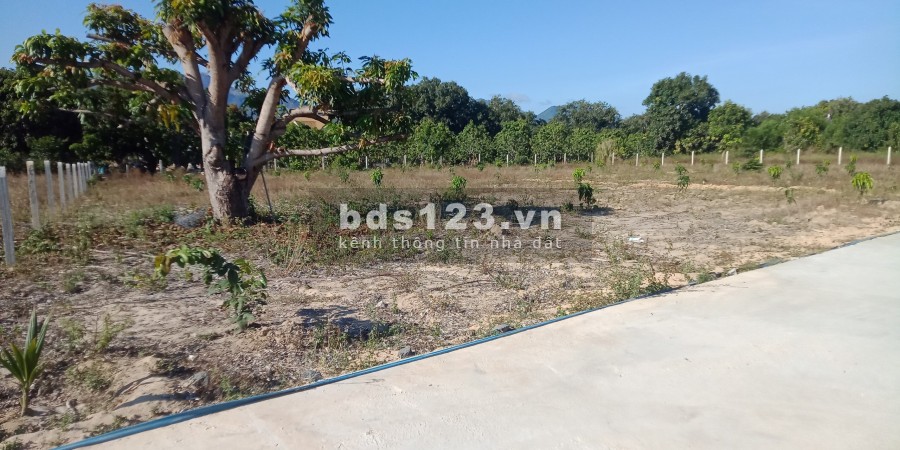 Chính chủ cần bán gấp lô đất sào phù hợp đất ở ,thích hợp phân lô giá rẻ ở cam hải tây