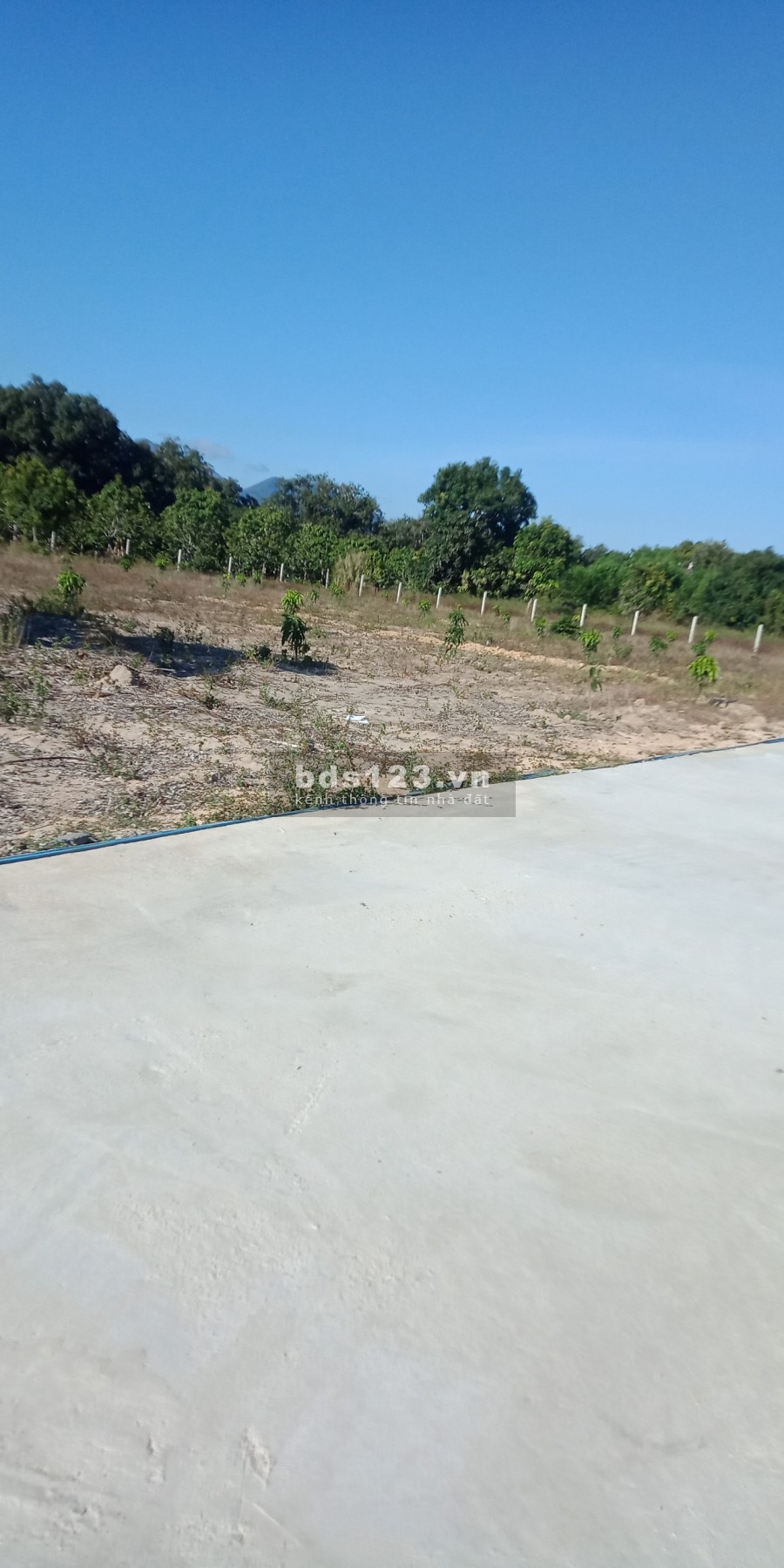 Chính chủ cần bán gấp lô đất sào phù hợp đất ở ,thích hợp phân lô giá rẻ ở cam hải tây
