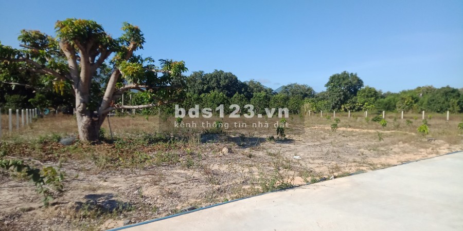 Chính chủ cần bán gấp lô đất sào phù hợp đất ở ,thích hợp phân lô giá rẻ ở cam hải tây