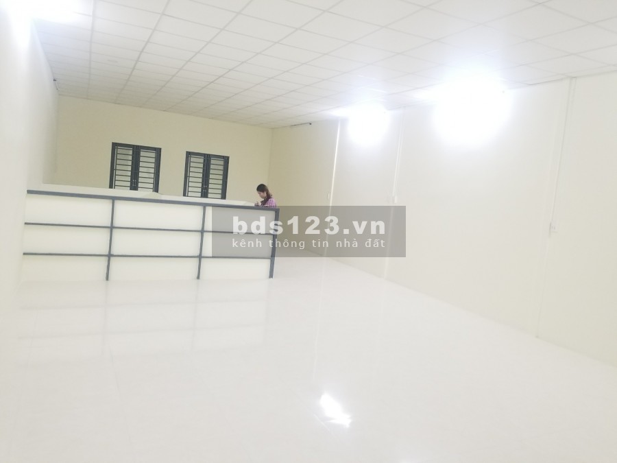 Nhà 6x17m 1 trệt + 1 lầu 33tr đường 15 Tân Quy, Q7