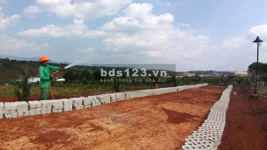 ĐẤT PHÂN LÔ XÃ NAM HÀ LÂM HÀ, giá sản phẩm gồm VƯỜN+ THỔ CƯ+ CÂY ĂN TRÁI