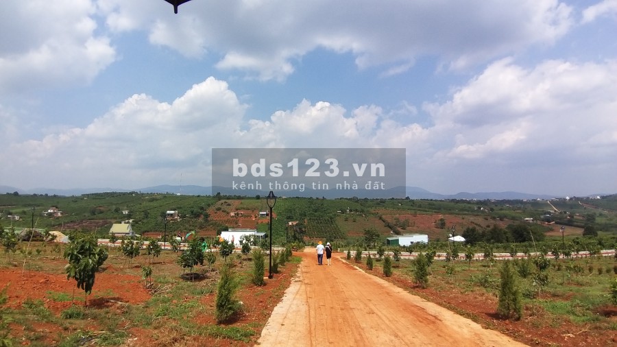 ĐẤT PHÂN LÔ XÃ NAM HÀ LÂM HÀ, giá sản phẩm gồm VƯỜN+ THỔ CƯ+ CÂY ĂN TRÁI