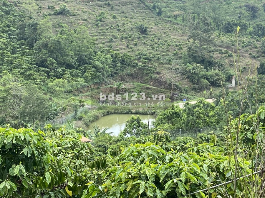 Bán lô đất thôn 6 trồng cà phê view đẹp