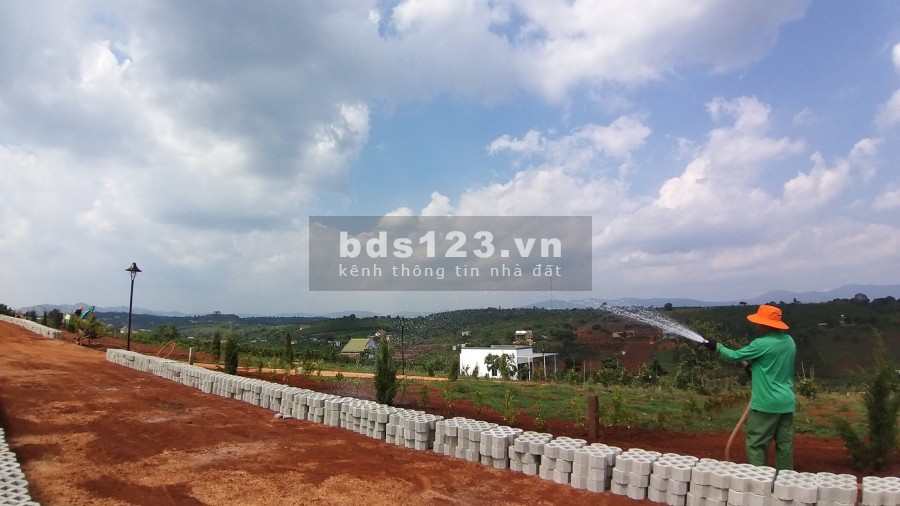 ĐẤT PHÂN LÔ XÃ NAM HÀ LÂM HÀ, giá sản phẩm gồm VƯỜN+ THỔ CƯ+ CÂY ĂN TRÁI