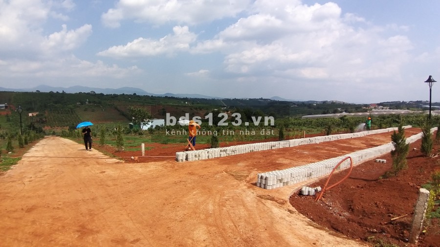 ĐẤT PHÂN LÔ XÃ NAM HÀ LÂM HÀ, giá sản phẩm gồm VƯỜN+ THỔ CƯ+ CÂY ĂN TRÁI