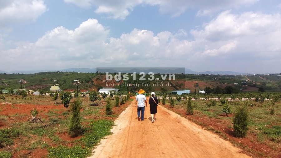 ĐẤT PHÂN LÔ XÃ NAM HÀ LÂM HÀ, giá sản phẩm gồm VƯỜN+ THỔ CƯ+ CÂY ĂN TRÁI