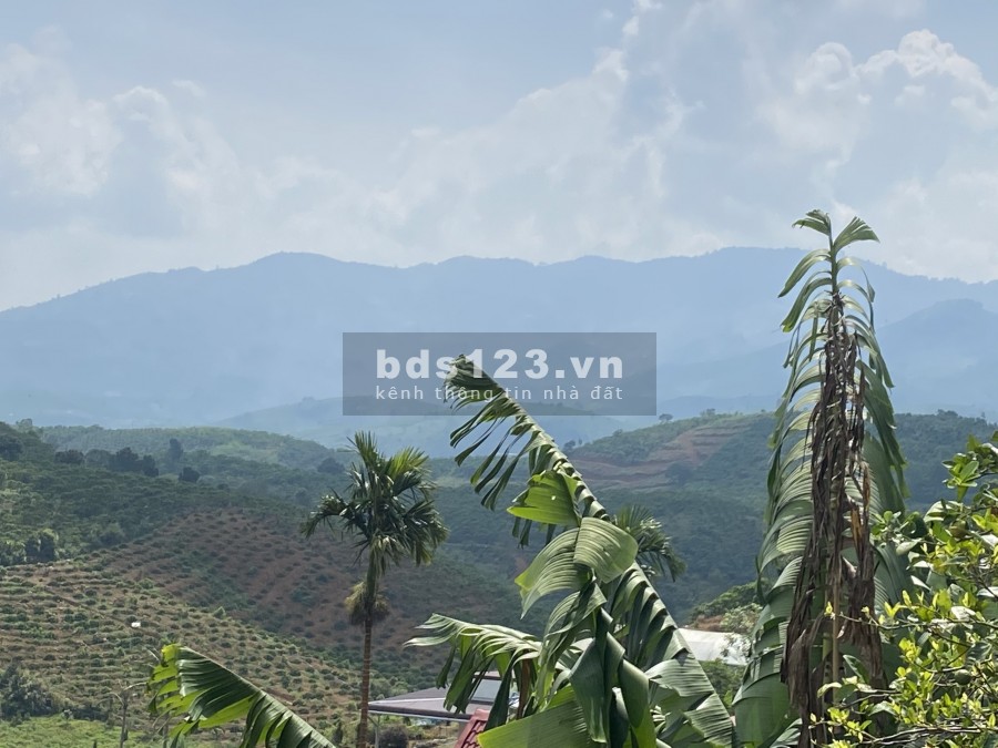 Bán lô đất thôn 6 trồng cà phê view đẹp