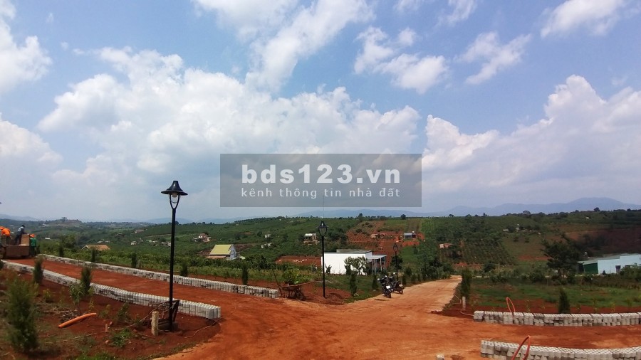 ĐẤT PHÂN LÔ XÃ NAM HÀ LÂM HÀ, giá sản phẩm gồm VƯỜN+ THỔ CƯ+ CÂY ĂN TRÁI