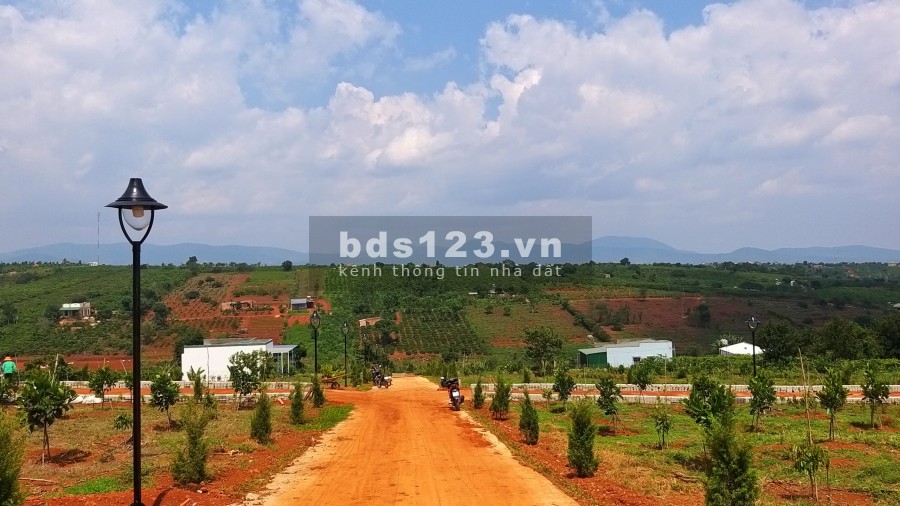 ĐẤT PHÂN LÔ XÃ NAM HÀ LÂM HÀ, giá sản phẩm gồm VƯỜN+ THỔ CƯ+ CÂY ĂN TRÁI