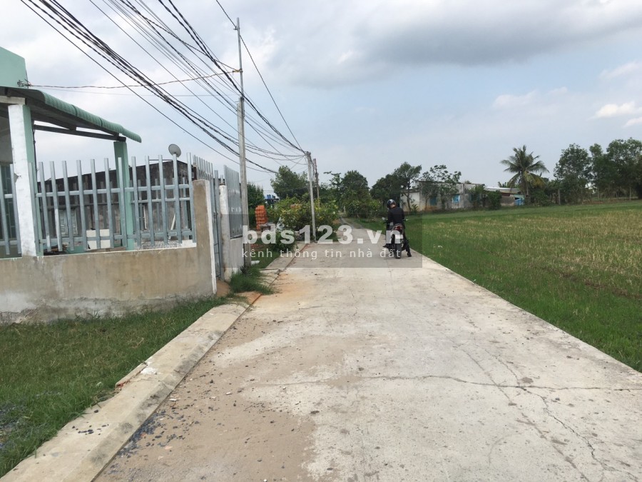Chủ Ngộp.Chính chủ bán gấp 130m2 ấp Bình Lợi, Hòa Khánh Đông, Giá 600 triệu SHR