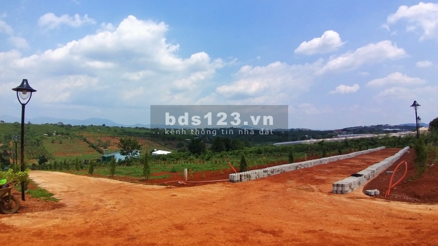 ĐẤT PHÂN LÔ XÃ NAM HÀ LÂM HÀ, giá sản phẩm gồm VƯỜN+ THỔ CƯ+ CÂY ĂN TRÁI