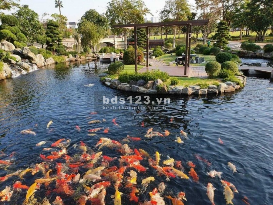 Căn hộ 1PN+ The Origami tại Vinhomes Grand Park thanh toán chỉ 15% nhận nhà , ân hạn gốc lãi 24 tháng