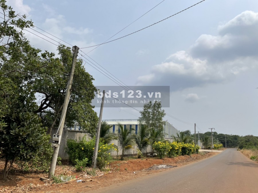Mảnh đất có nguy cơ trở thành 60m mặt tiền đường Long Thành