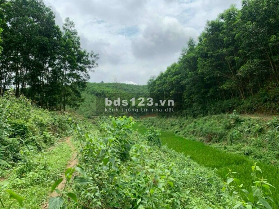 BÁN ĐẤT YÊN THUỶ - 1,5HA ĐẤT Ở VÀ ĐẤT VƯỜN, GIÁ CHỈ HƠN 1 TỶ