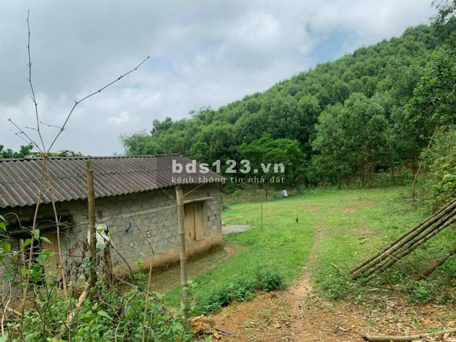 BÁN ĐẤT YÊN THUỶ - 1,5HA ĐẤT Ở VÀ ĐẤT VƯỜN, GIÁ CHỈ HƠN 1 TỶ