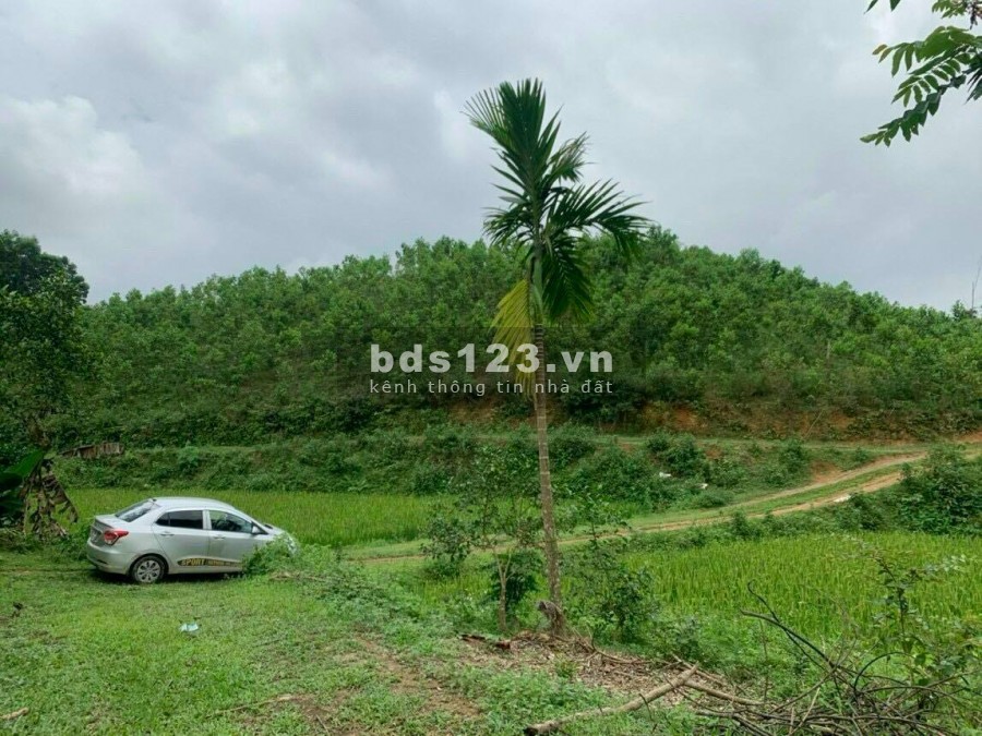 BÁN ĐẤT YÊN THUỶ - 1,5HA ĐẤT Ở VÀ ĐẤT VƯỜN, GIÁ CHỈ HƠN 1 TỶ