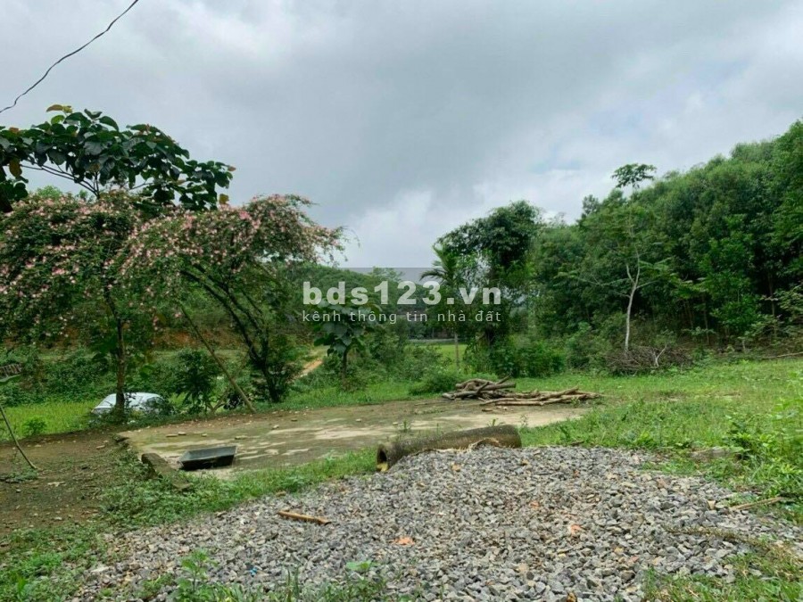 BÁN ĐẤT YÊN THUỶ - 1,5HA ĐẤT Ở VÀ ĐẤT VƯỜN, GIÁ CHỈ HƠN 1 TỶ