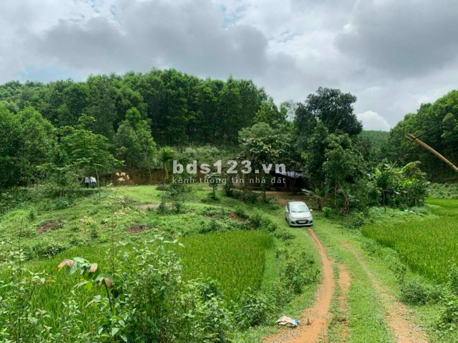 BÁN ĐẤT YÊN THUỶ - 1,5HA ĐẤT Ở VÀ ĐẤT VƯỜN, GIÁ CHỈ HƠN 1 TỶ