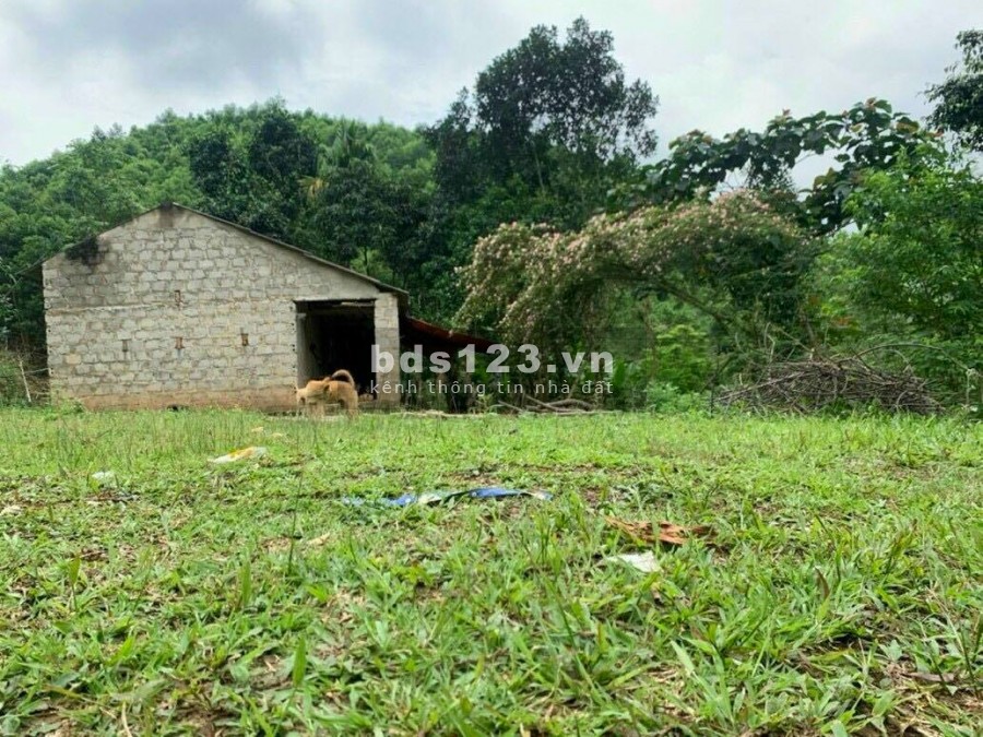 BÁN ĐẤT YÊN THUỶ - 1,5HA ĐẤT Ở VÀ ĐẤT VƯỜN, GIÁ CHỈ HƠN 1 TỶ