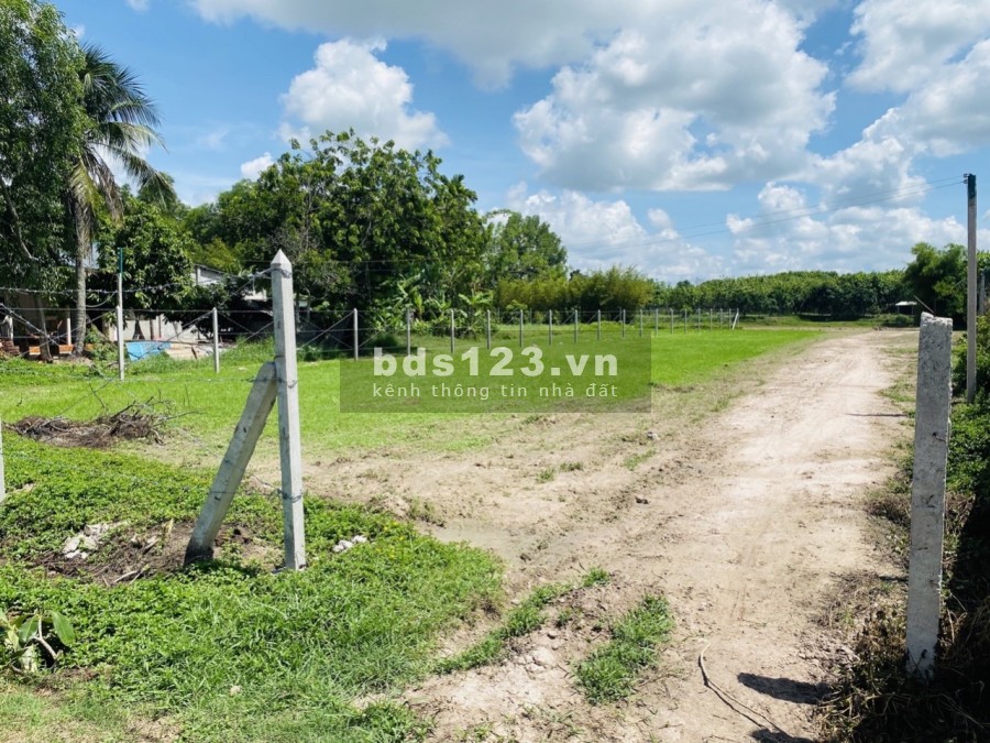 Chính chủ bán gấp lô đất cực đẹp 4500m2 tại xã Trung Lập Thượng Huyện Củ Chi