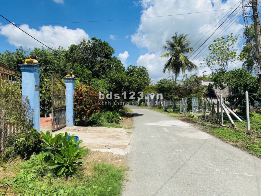 Chính chủ bán gấp lô đất cực đẹp 4500m2 tại xã Trung Lập Thượng Huyện Củ Chi