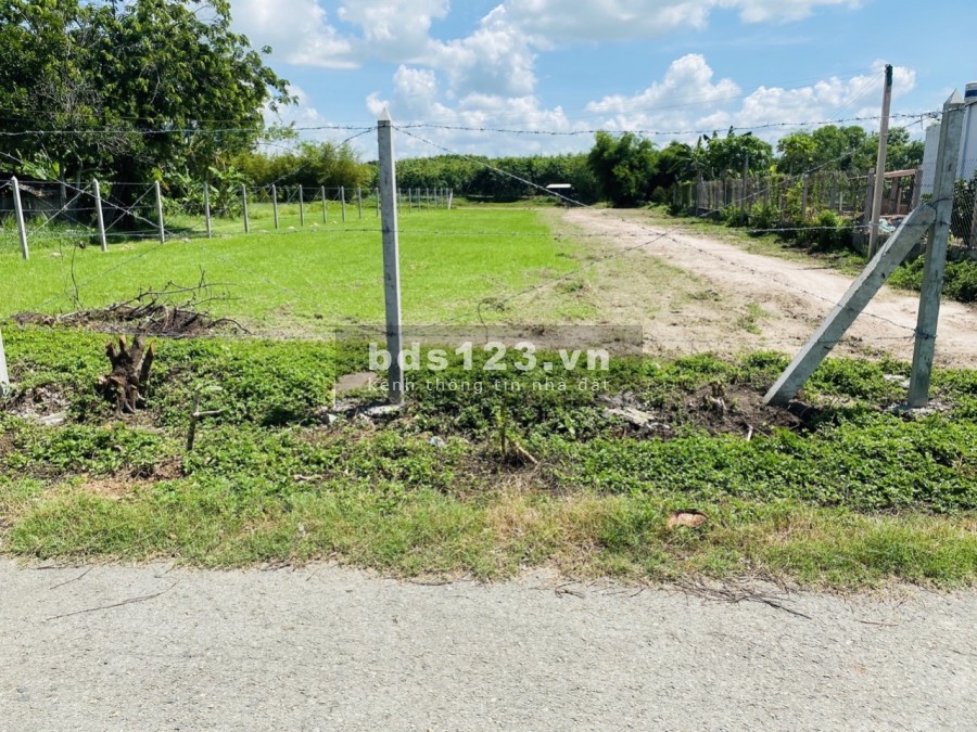 Chính chủ bán gấp lô đất cực đẹp 4500m2 tại xã Trung Lập Thượng Huyện Củ Chi
