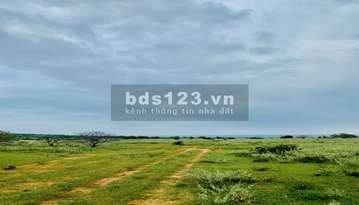 Lô đất nông nghiệp Bình Thuận giá chỉ 78k/m2. Đầu tư lâu dài đem lại lợi nhuạn cao