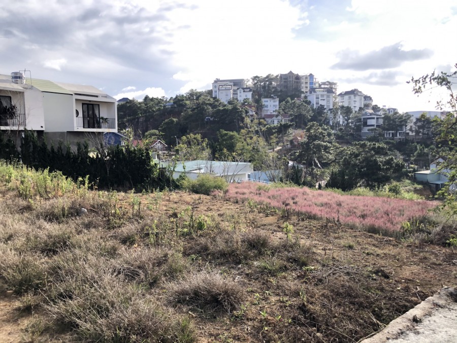 Bán đất view rừng thông Đà Lạt 200m2 - 6 tỷ