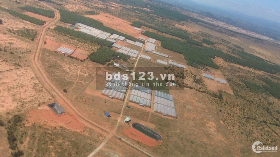 Lô đất nông nghiệp Bình Thuận giá chỉ 78k/m2. Đầu tư lâu dài đem lại lợi nhuạn cao