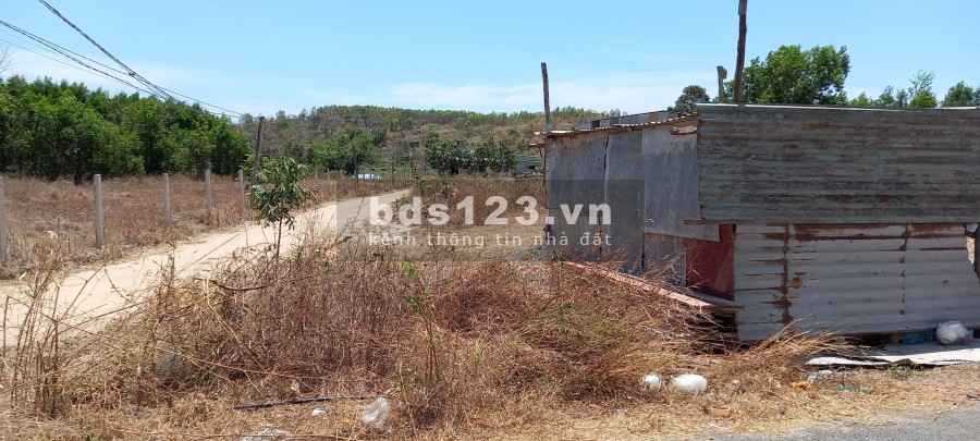 Cần bán lô đất gần bến xe Xuyên Mộc, 1.25 tỷ/273m2, SHR, MT đường nhựa, khu dân cư đông đúc