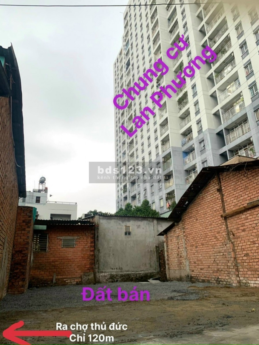 Đất hẻm xe hơi đường Hồ Văn Tư, dt 50m2, giá 3.7 tỷ
