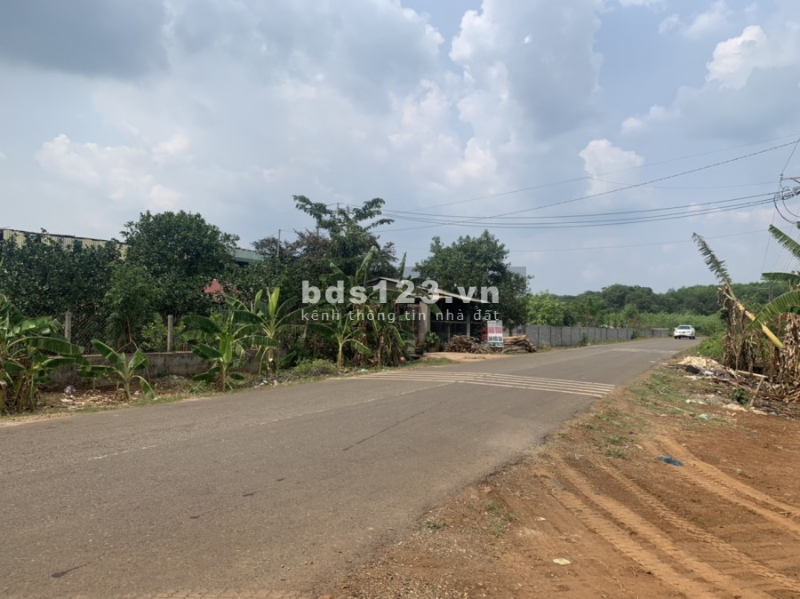 Đất cổng KCN Long Thành, Vị trí đẹp, Pháp lý chuẩn, Miễn trung gian