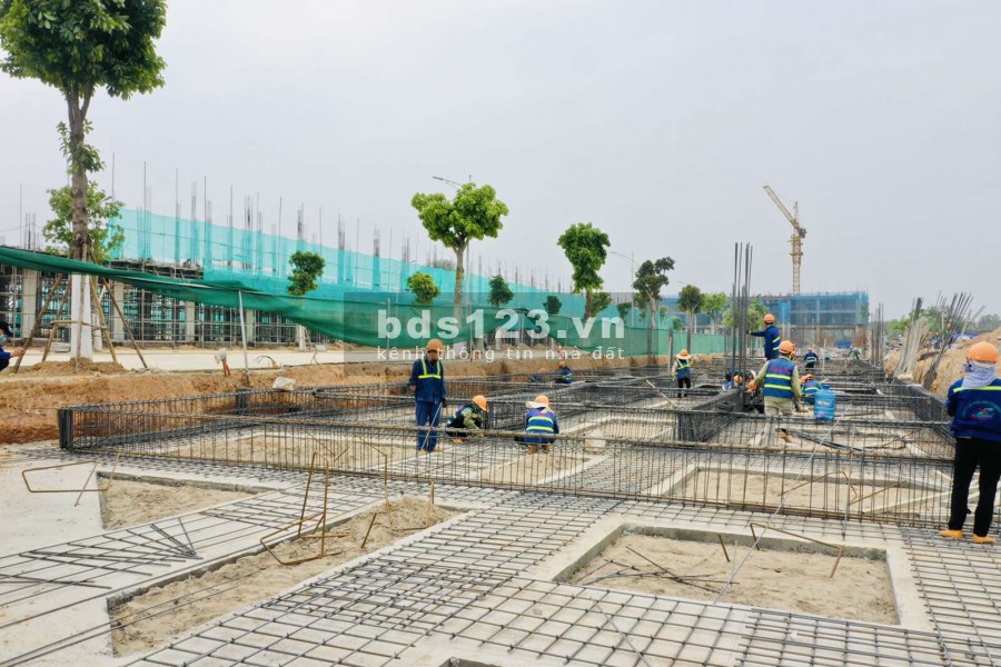 DANKO CITY NƠI RỒNG VÀNG CỦA CÁC NHÀ ĐẦU TƯ