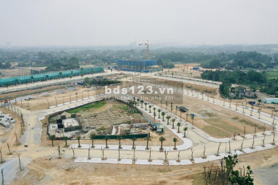 DANKO CITY NƠI RỒNG VÀNG CỦA CÁC NHÀ ĐẦU TƯ