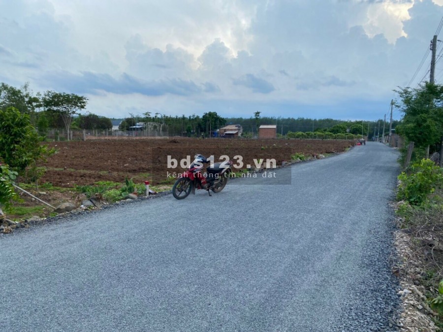Bán 5 Lô Đất Mặt Tiền Đường Nhựa Rộng 8M Xã Xuyên Mộc