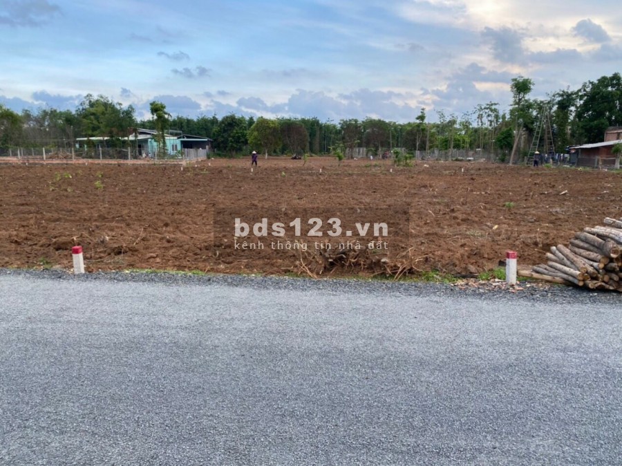 Bán 5 Lô Đất Mặt Tiền Đường Nhựa Rộng 8M Xã Xuyên Mộc