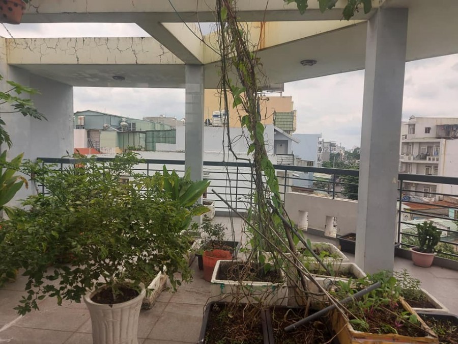 Bán Lô góc Kinh Doanh thu gần 50tr Trong chợ Hạnh Thông Tây 75m2 giá 12 tỷ