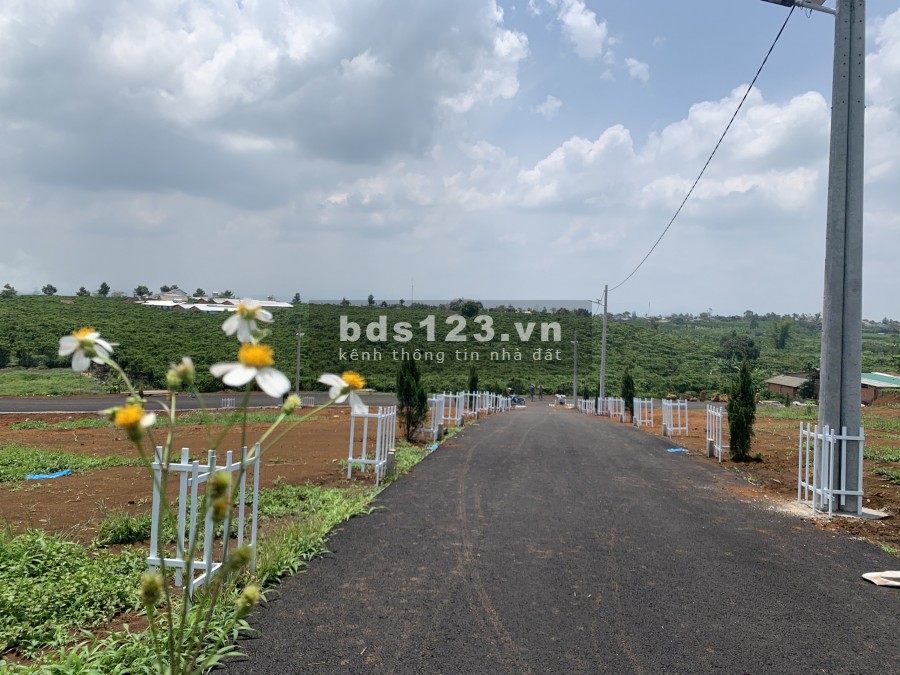 Đất sau chợ lộc phát diện tích 200m2 giá 1,5 tỷ