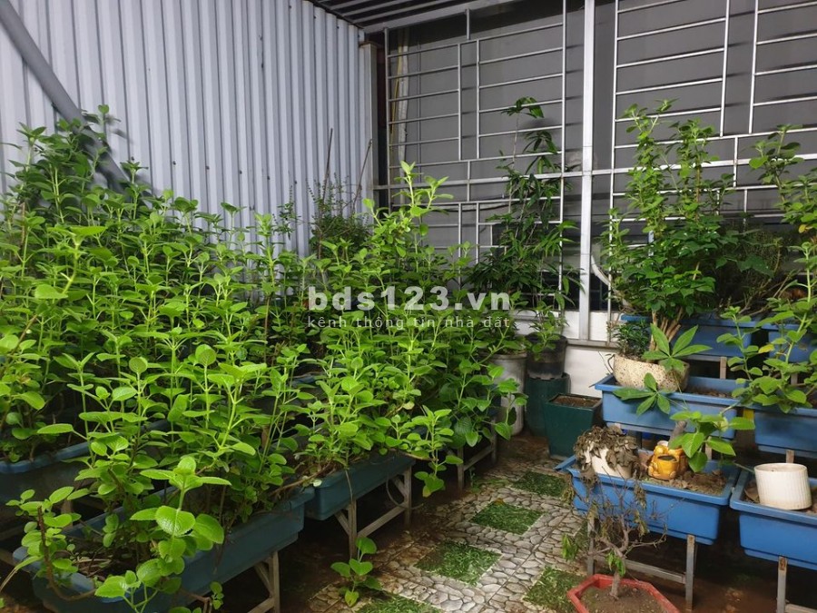 Nhà gần phố, ngõ ô tô chạy 40m2, 5 tầng.