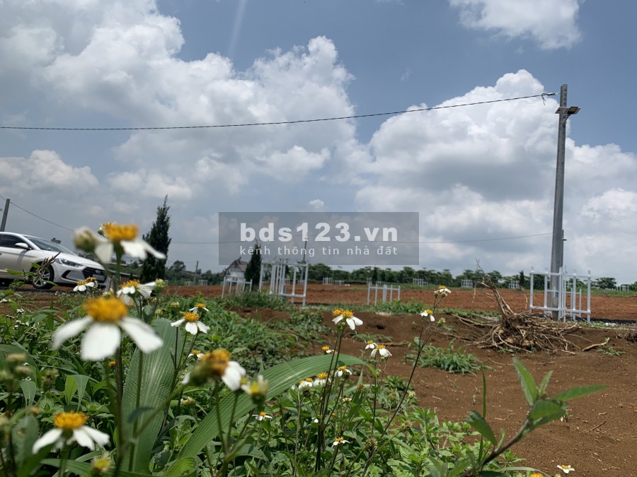 Bán nữa xào đất gần bến xe phương trang.có 200m2 thổ cư.1 tỷ 4