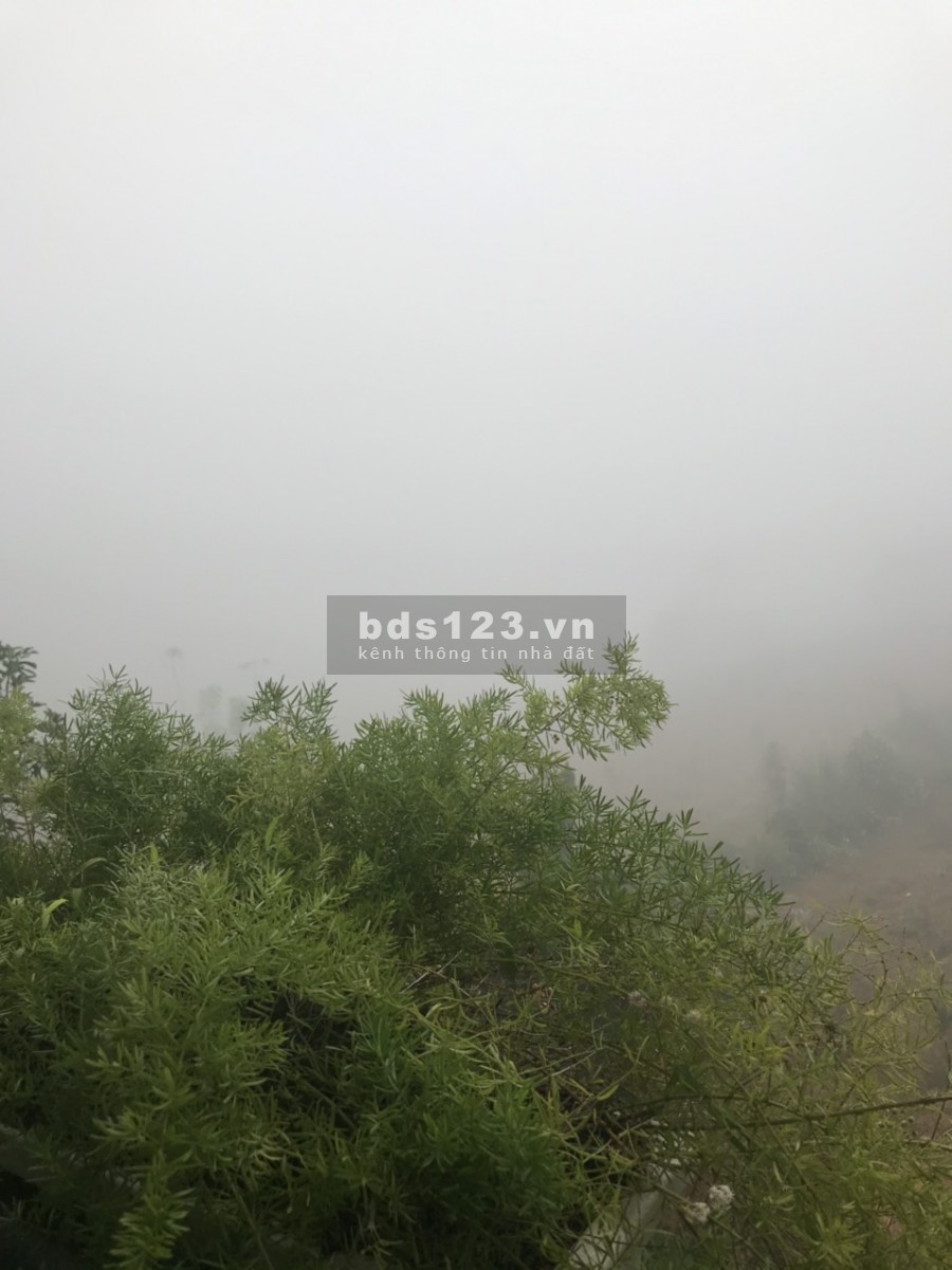 Đất mặt tiền Nguyễn Văn Cừ 222m2 full thổ cư , shr ngay trung tâm thành phố Bảo Lộc giá thương lượng 900tr