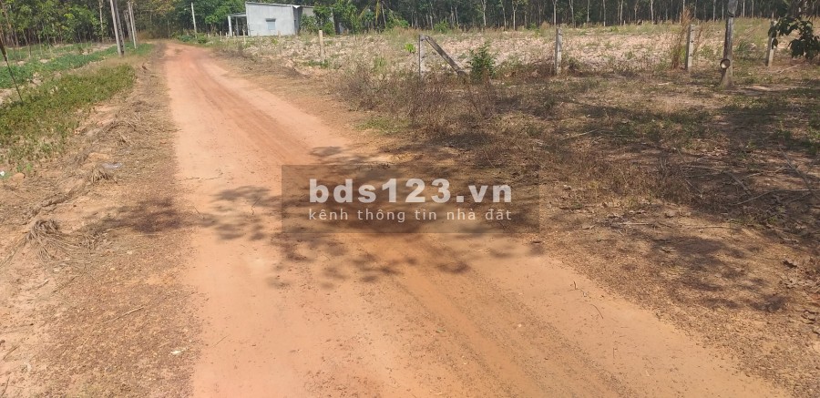 Đất sạch giá rẻ cách QL 3km đất chính chủ